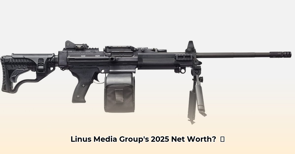 lmg-net-worth